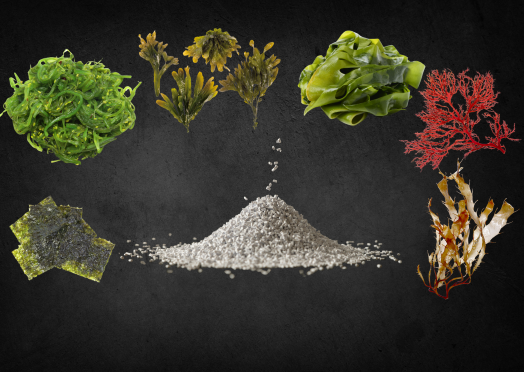 Biopolymers